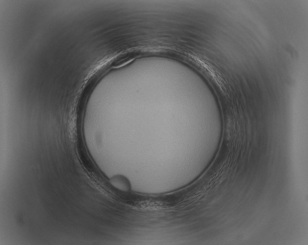 X0000116590535200912291310