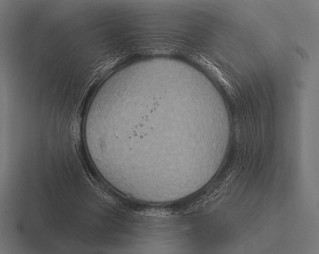 X0000116590537200912291310