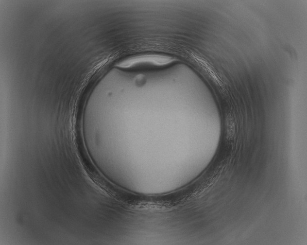 X0000116590538200912291310