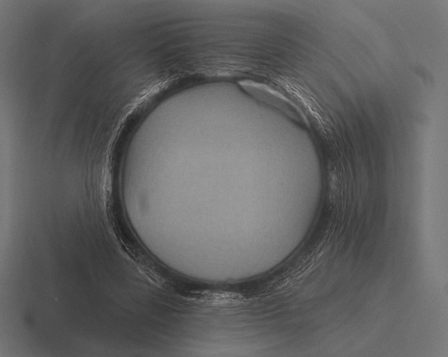 X0000116590539200912291310