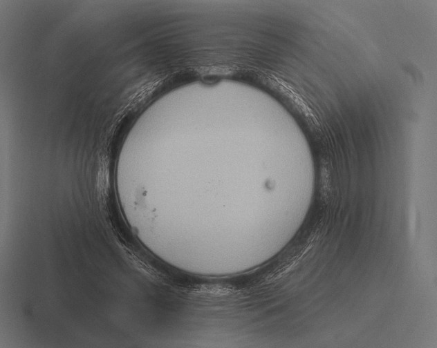 X0000116590541200912291310