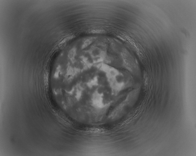 X0000116590542200912291310