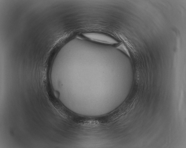 X0000116590543200912291310