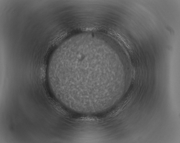 X0000116590545200912291310