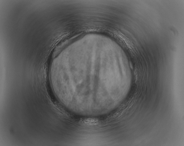 X0000116590546200912291310