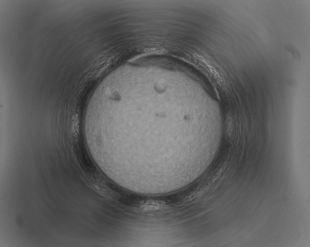 X0000116590549200912291310