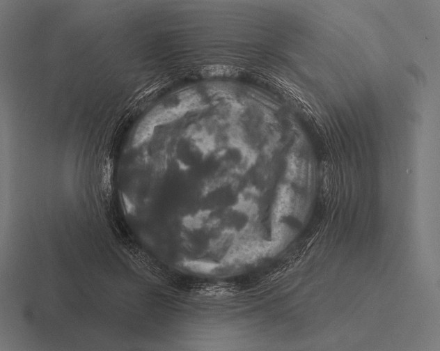 X0000116590550200912291310