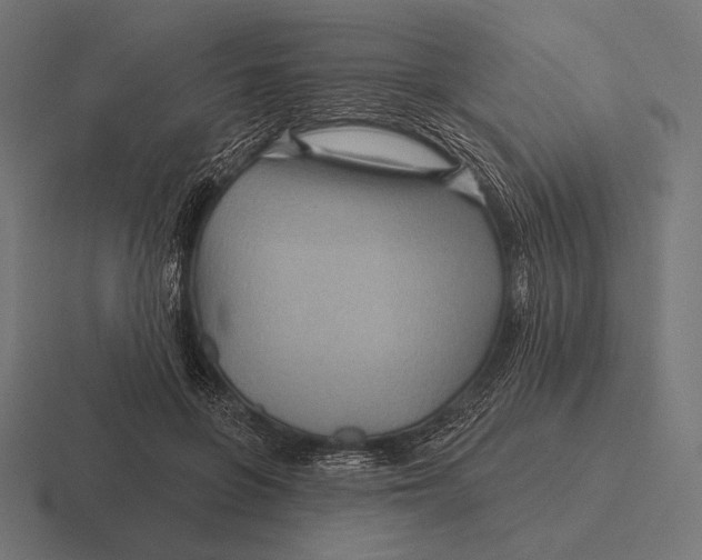 X0000116590551200912291310