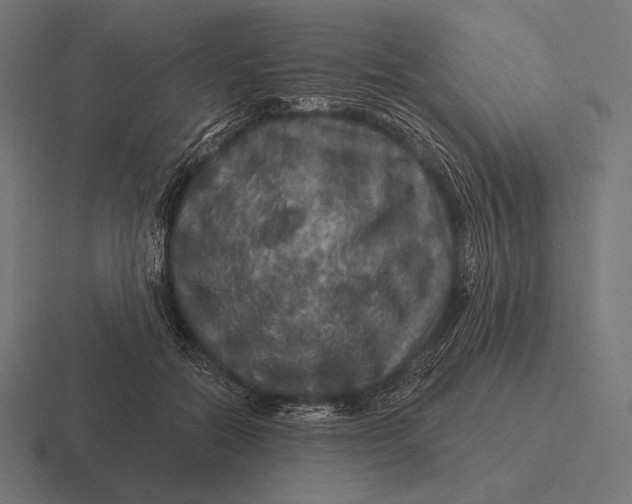 X0000116590554200912291310