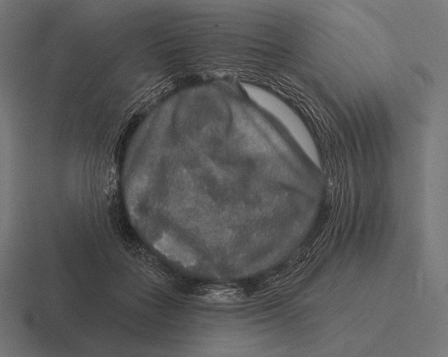 X0000116590555200912291310