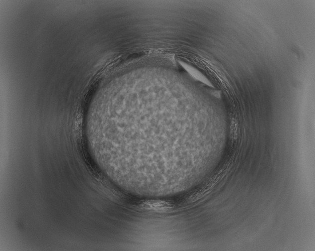 X0000116590557200912291310