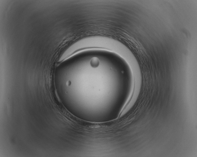 X0000116590558200912291310