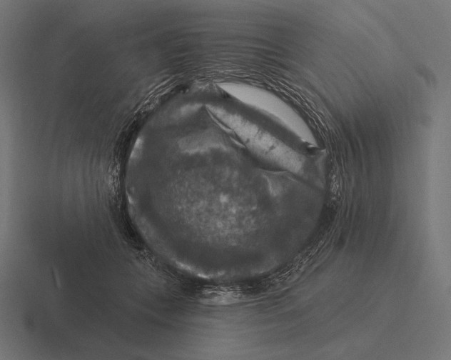 X0000116590559200912291310