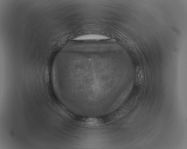 X0000116590562200912291310