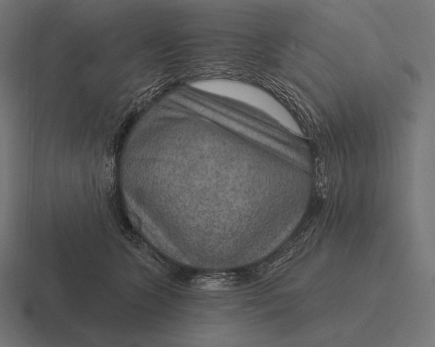 X0000116590563200912291310