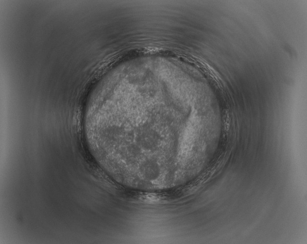 X0000116590565200912291310