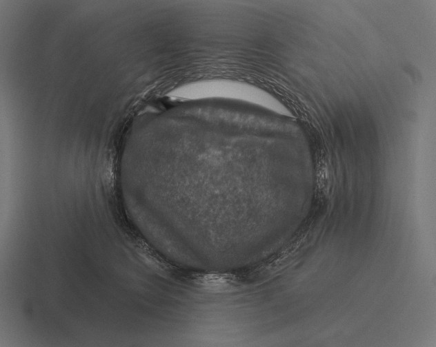 X0000116590566200912291310