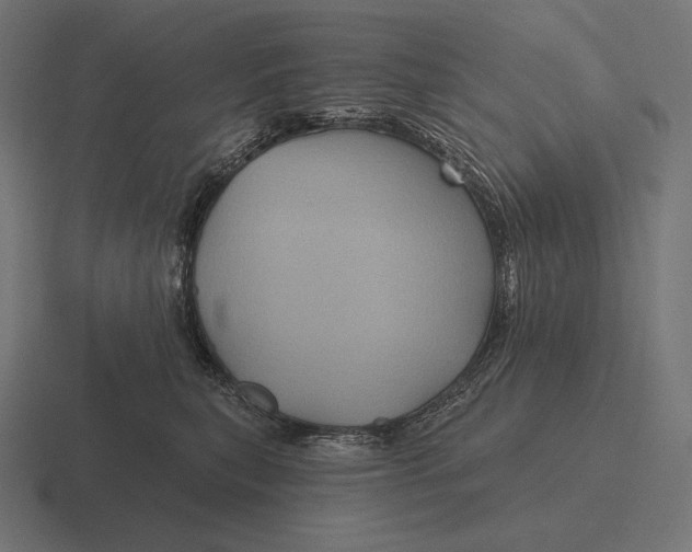 X0000116590567200912291310