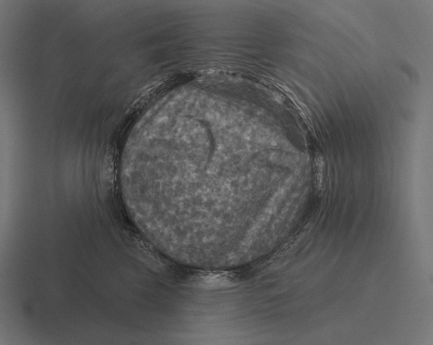 X0000116590569200912291310