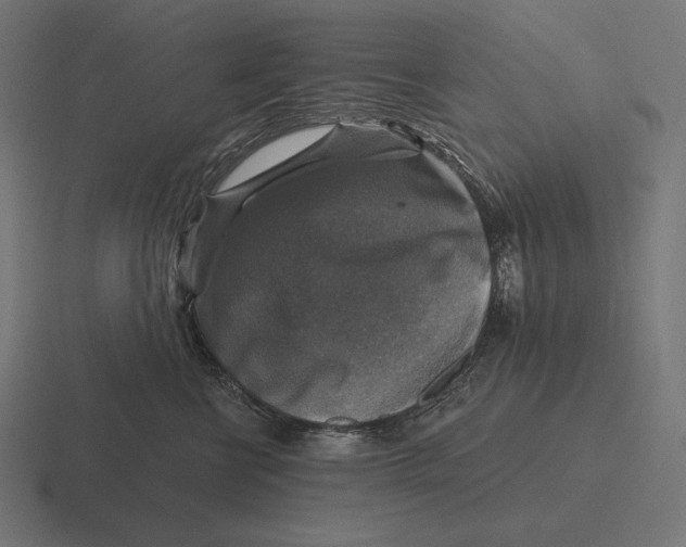 X0000116590570200912291310