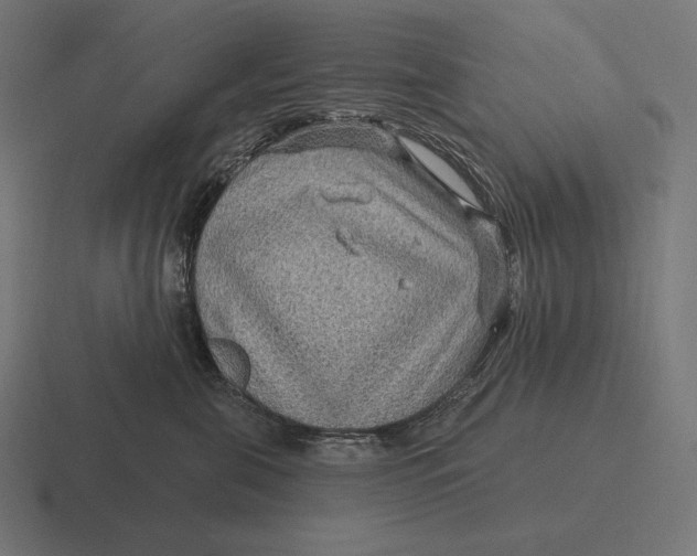 X0000116590571200912291310