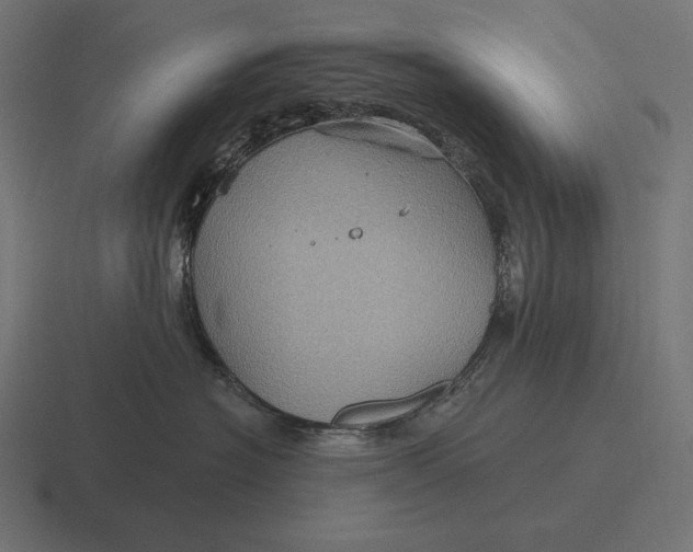 X0000116590574200912291310