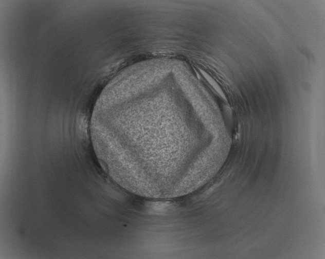 X0000116590575200912291310