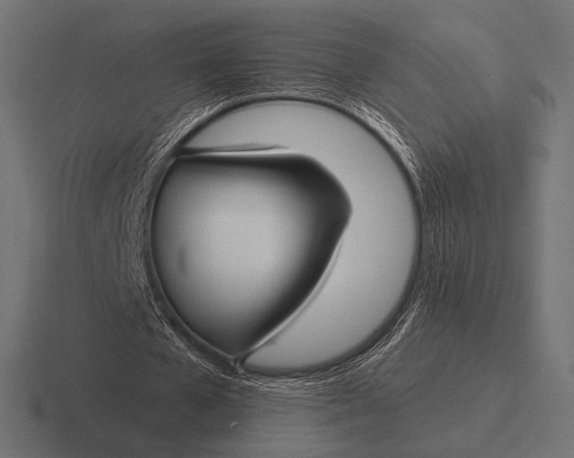 X0000116590577200912291310