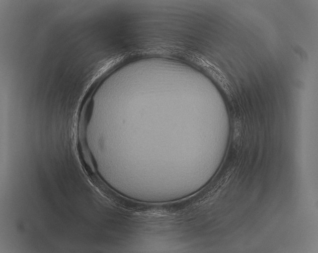 X0000116590578200912291310