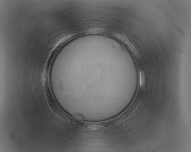 X0000116590579200912291310