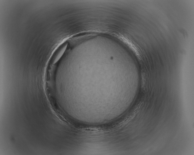 X0000116590580200912291310