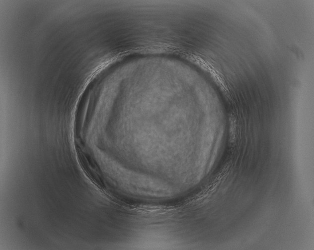 X0000116590582200912291310