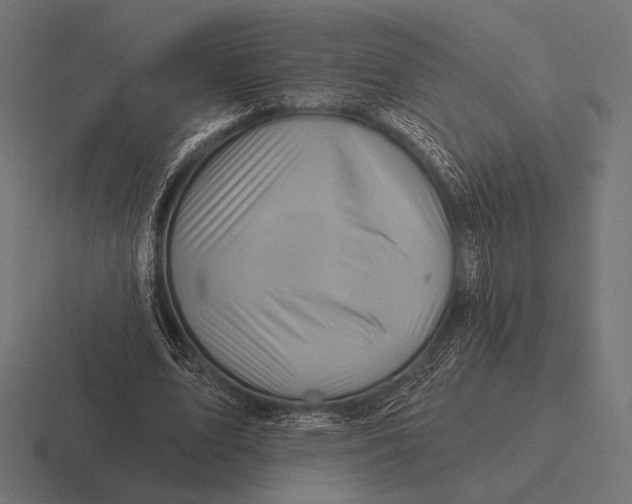 X0000116590583200912291310