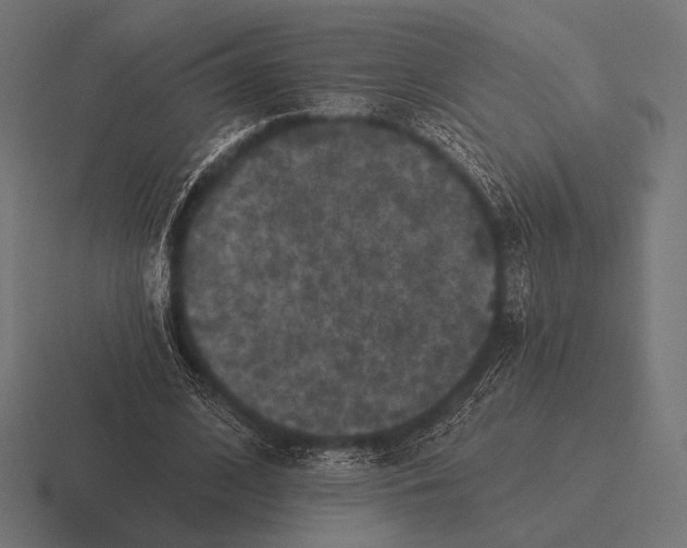 X0000116590584200912291310