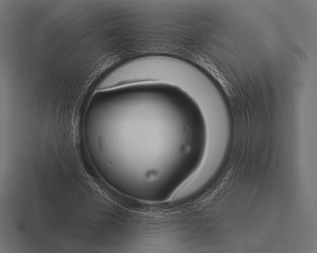 X0000116590585200912291310