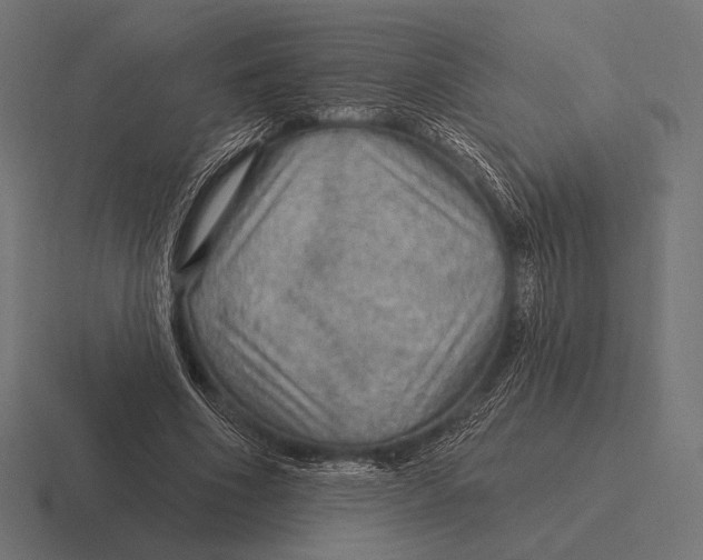 X0000116590586200912291310