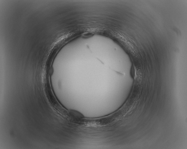 X0000116590587200912291310