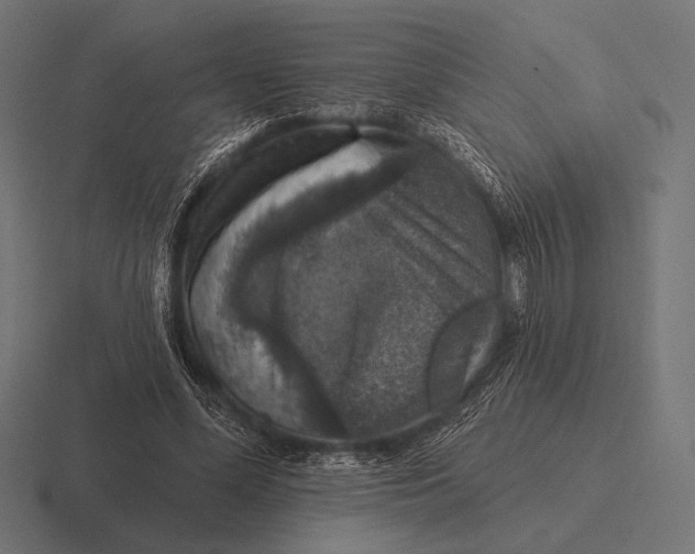 X0000116590588200912291310