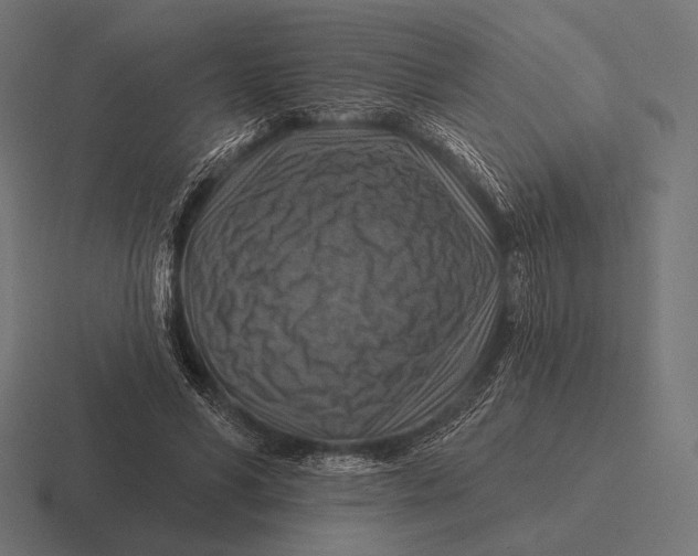 X0000116590590200912291310