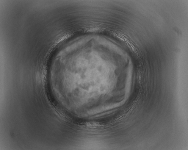 X0000116590591200912291310