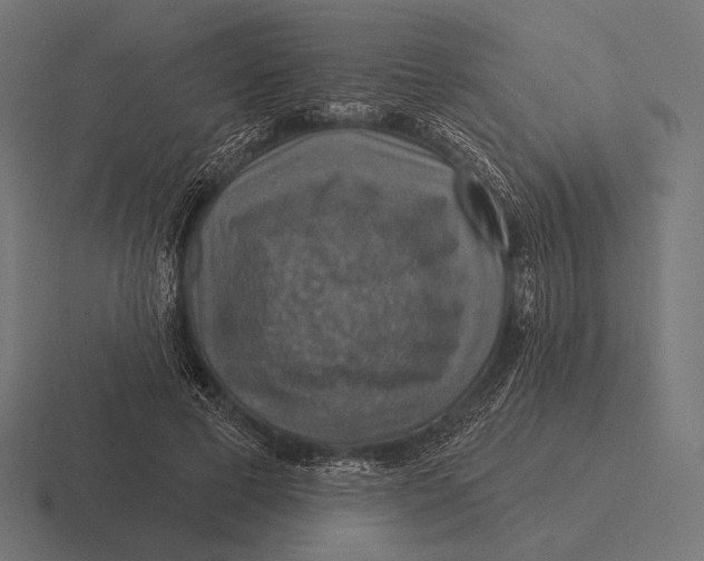 X0000116590593200912291310