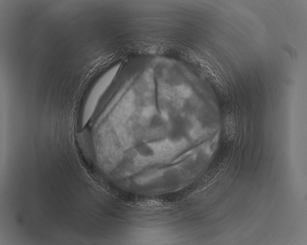 X0000116590594200912291310