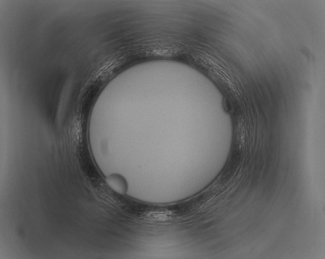 X0000116590595200912291310