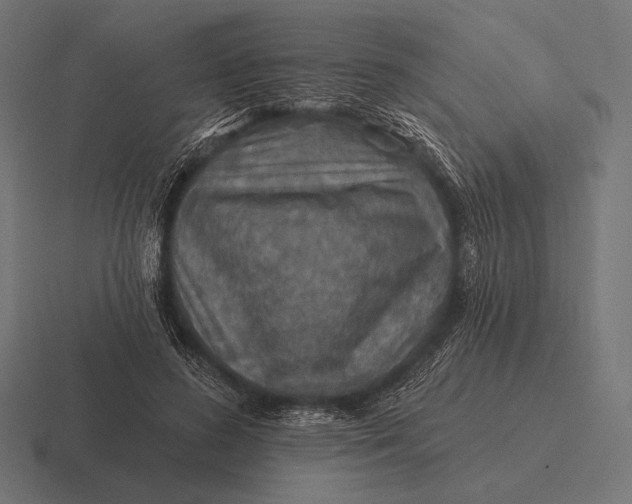 X0000116590596200912291310