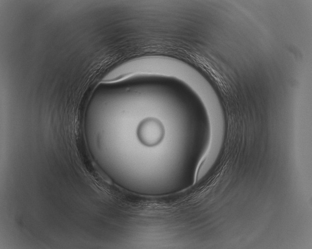 X0000116590597200912291310