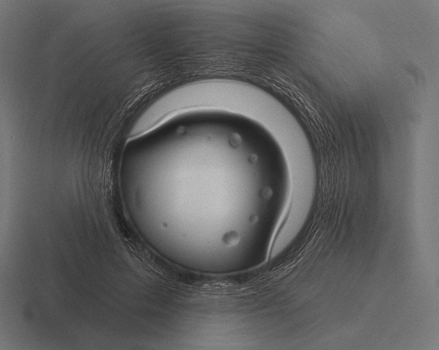 X0000116590599200912291310