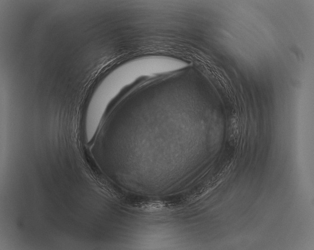 X0000116590600200912291310