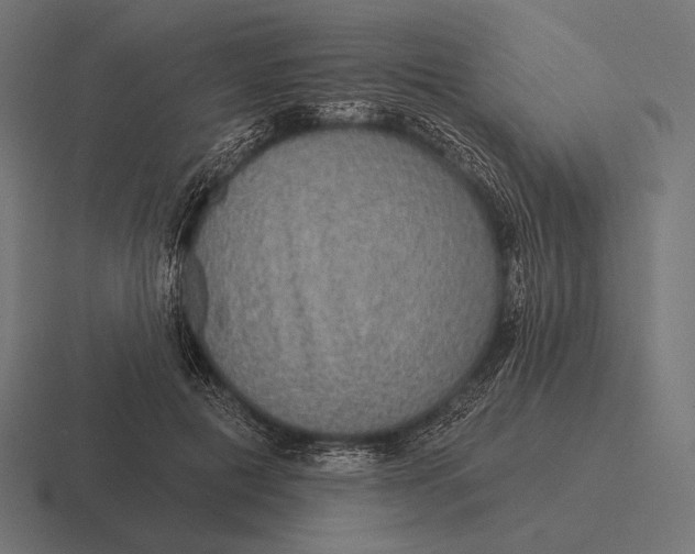 X0000116590601200912291310