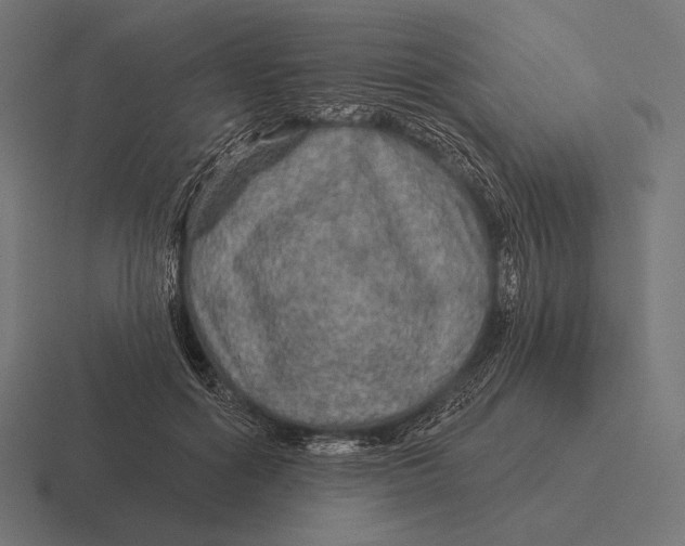 X0000116590602200912291309