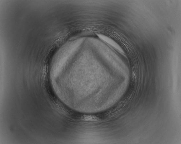 X0000116590605200912291309